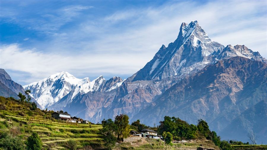 Le sommet pointu du Machhapuchhare enneigé au-dessus de rizières en terrasses et de maisons de village